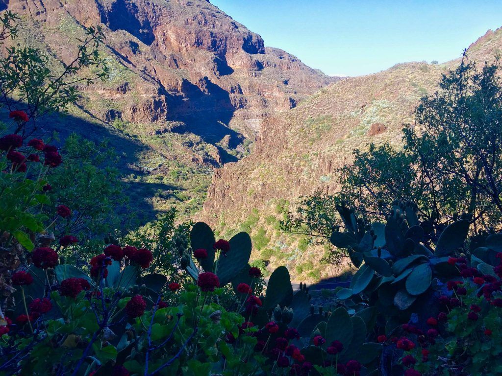 Gran Canaria in 5 Tagen: Route zwischen Meer und Bergen 6 Grünes Tal im bergigen Inselinneren von Gran Canaria