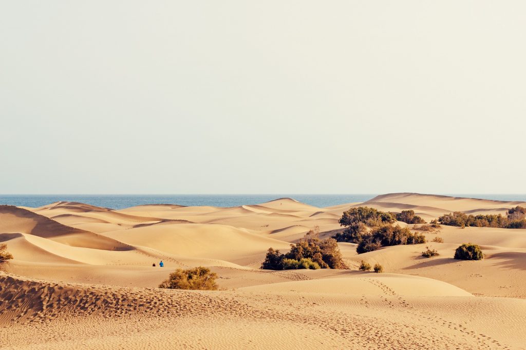 Die Dunas de Maspalomas gehören zu den wichtigsten Naturschutzgebieten der Kanarischen Inseln und sind ein einzigartiges Naturschauspiel. Wer sich für die Tierwelt interessiert, kann hier auch seltene Vogelarten beobachten, die in der Region heimisch sind. Obwohl Gran Canaria eher für seine Strände und das Meer bekannt ist, sollte man die Dunas de Maspalomas unbedingt besuchen, um die Insel in ihrer ganzen Vielfalt kennen zu lernen.