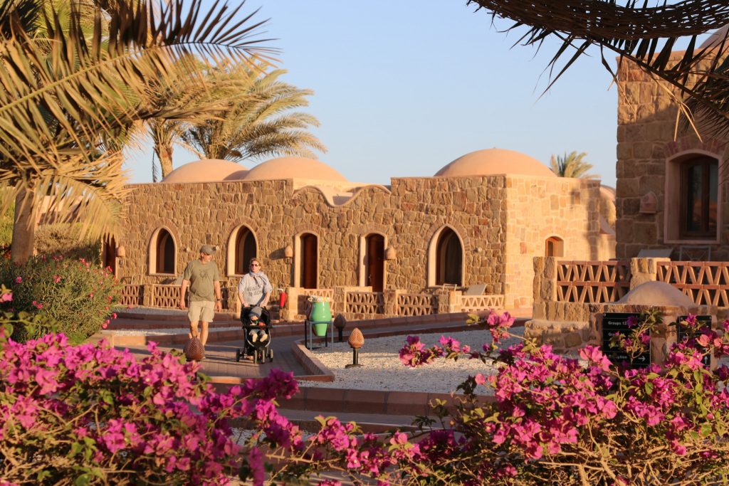 Ägypten-Rundreise am Roten Meer: mein Tauch-Roadtrip entlang der Küste 5 Mövenpick Resort El Quseir mit Tauchbasis am Roten Meer