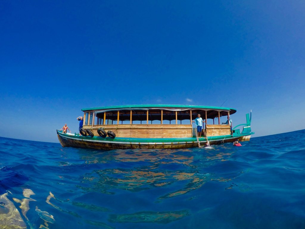 coco palm dhuni kolhu dive ocean maldives Auf geht's zum Tauchplatz: Das Baa Atoll rund um Coco Palm Dhuni Kolhu ist ein Paradies für Taucher! Foto: Sascha Tegtmeyer