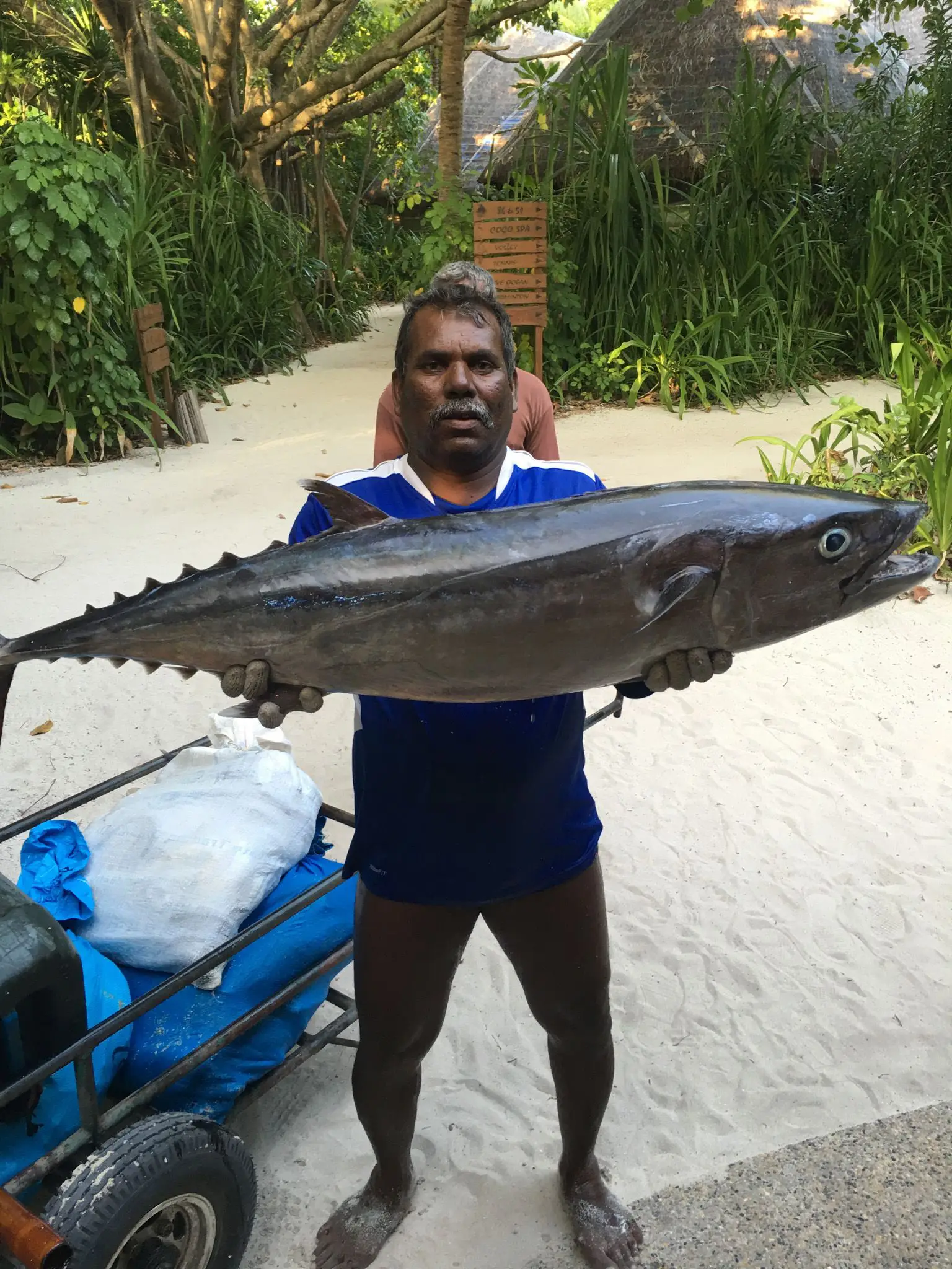 Reisebericht Coco Palm Dhuni Kolhu: Meine Erfahrungen auf der Barfußinsel 10 Frisch gefangener Fisch wird zur Küche von Coco Palm Dhuni Kolhu gebracht