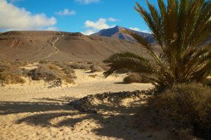 lanzarote papagayo strände urlaub reise Lanzarote ist eine tolle, abwechslungsreiche Insel sowohl für Tauchurlauber und alle, die gerne ihre Zeit auf dem Trockenen verbringen. Foto: Luisa Praetorius