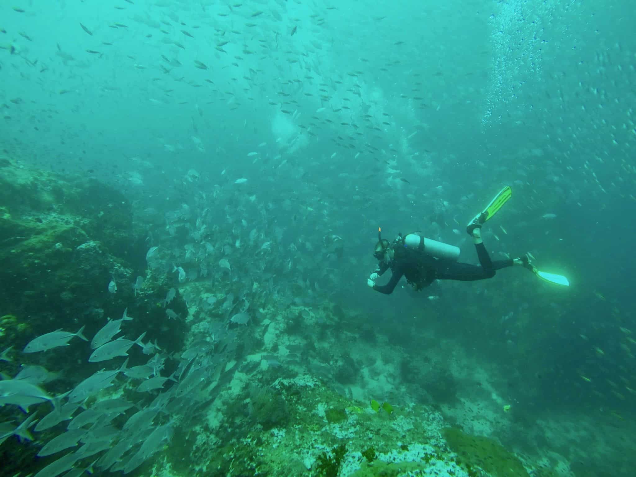 Tauchen auf Koh Phangan Erfahrungsbericht – auf zum Sail Rock!