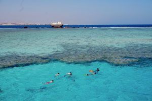 Sharm El Sheikh Reisebericht Tipps Ab ans Riff: Wer nach Ägypten reist, sollte sich als Taucher, Schnorchler oder Schwimmer ins Wasser begeben! Foto: Sascha Tegtmeyer