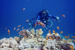 Sharm El Sheikh Reisebericht Tipps