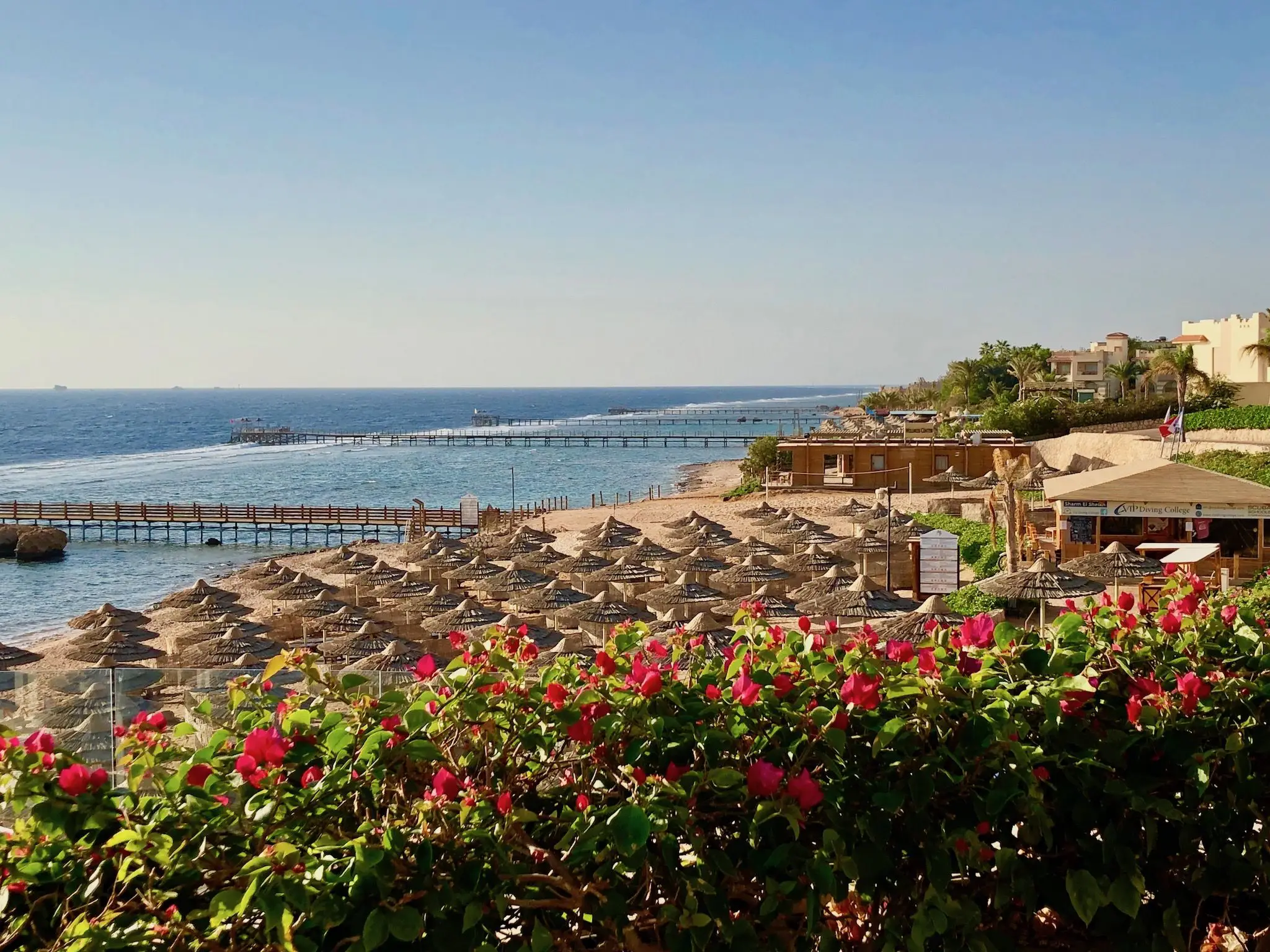 Warme Reiseziele im Januar: 7 ehrliche Tipps von mild bis tropisch 6 Strand mit Sonnenschirmen und Stegen am Roten Meer in Ägypten