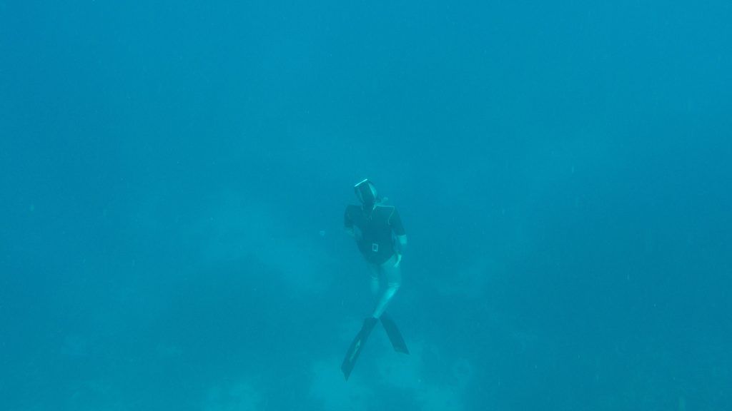 Beim Freediving taucht man ohne Tauchgerät mit nur einem Atemzug ab und bleibt mehrere Minuten unter Wasser. Foto: Sascha Tegtmeyer