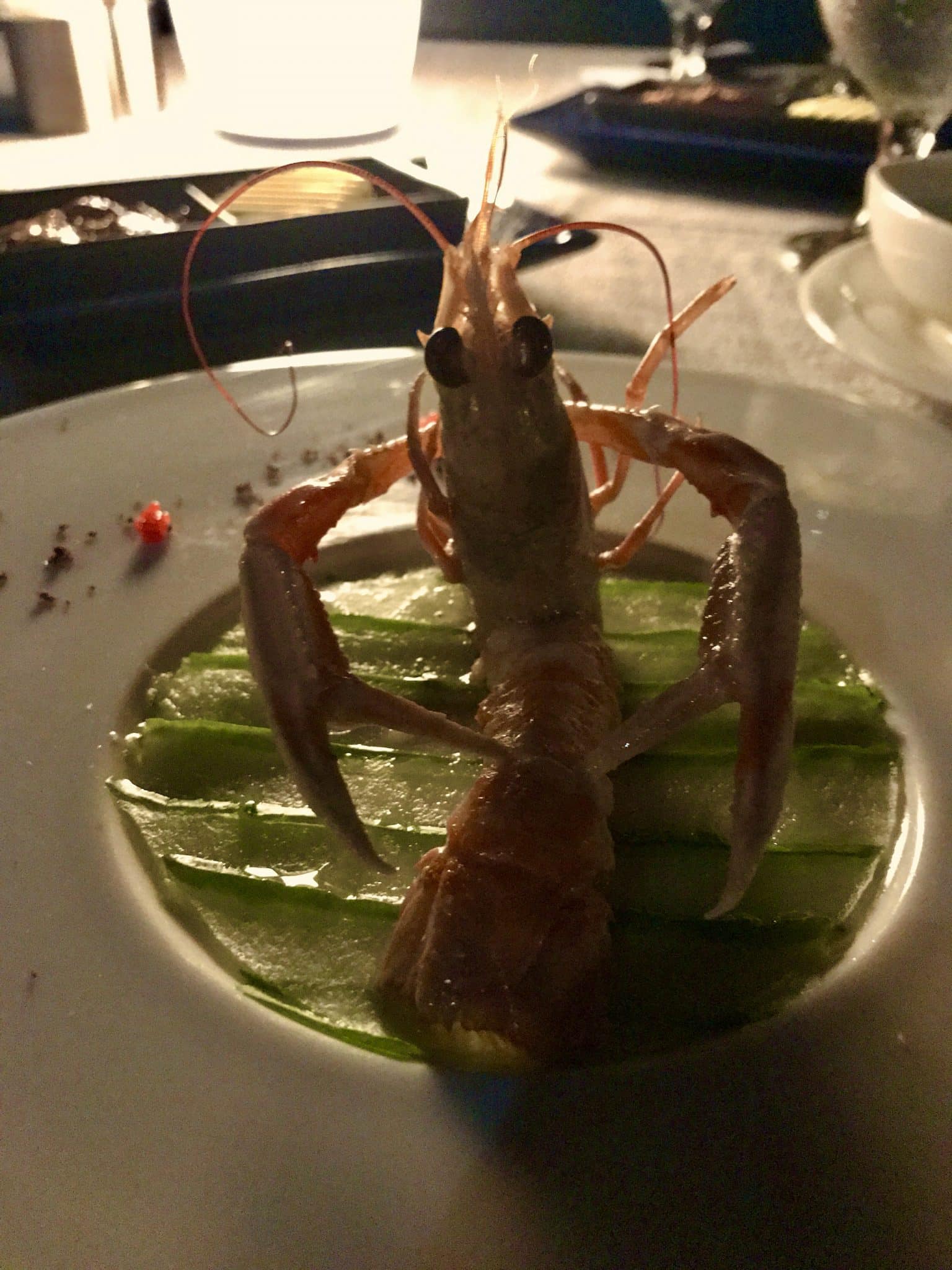 Kulinarische Köstlichkeiten: einige Restaurants auf Coco Bodu Hithi sind preisgekrönt. Foto: Sascha Tegtmeyer
