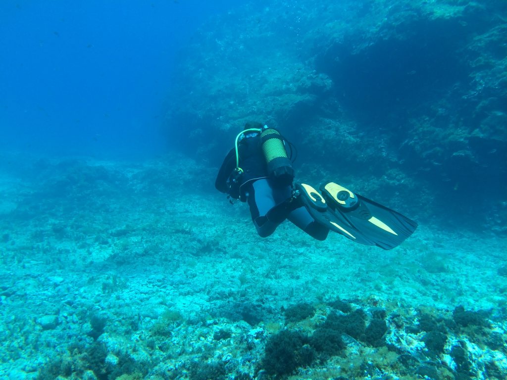 Tauchen auf Lanzarote gehört zu den beliebtesten Freizeitaktivitäten. Foto: Sascha Tegtmeyer