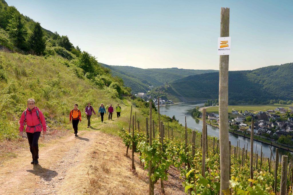 Auf ausgedehnten Wanderungen lässt sich von Cochem aus das Moseltal erkunden. Foto: Tourist-Information Ferienland Cochem