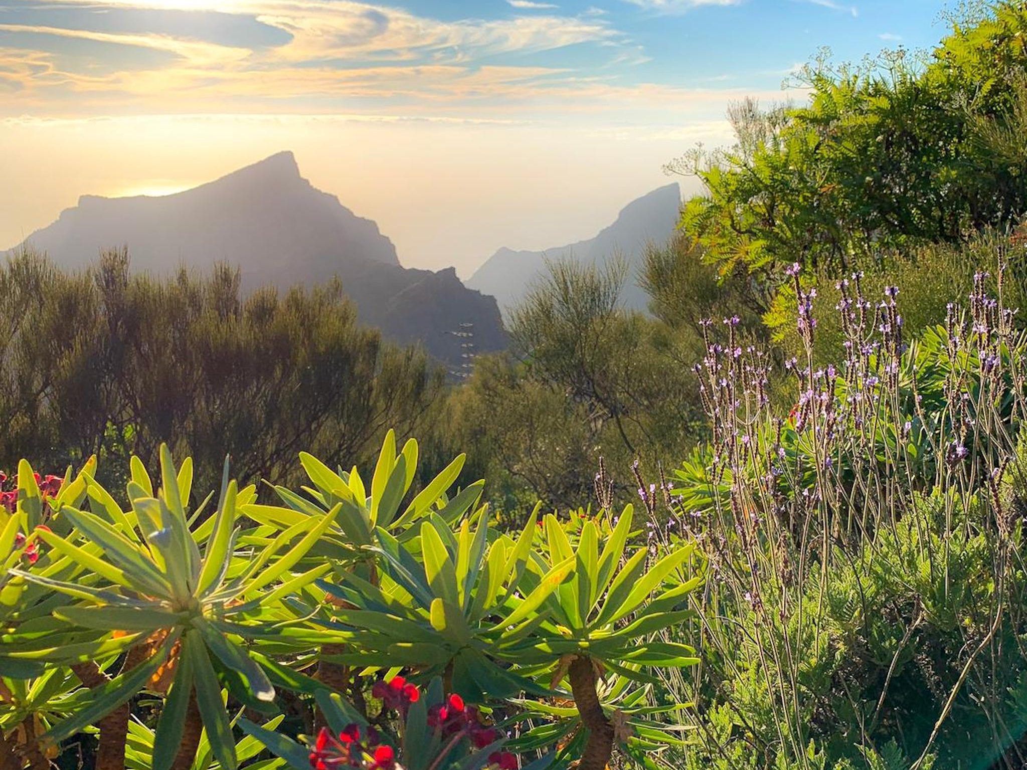 Kurz vor Sonnenuntergang auf Teneriffa: herrlicher Ausblick auf das Masca Gebirge am Abend. Foto: Sascha Tegtmeyer