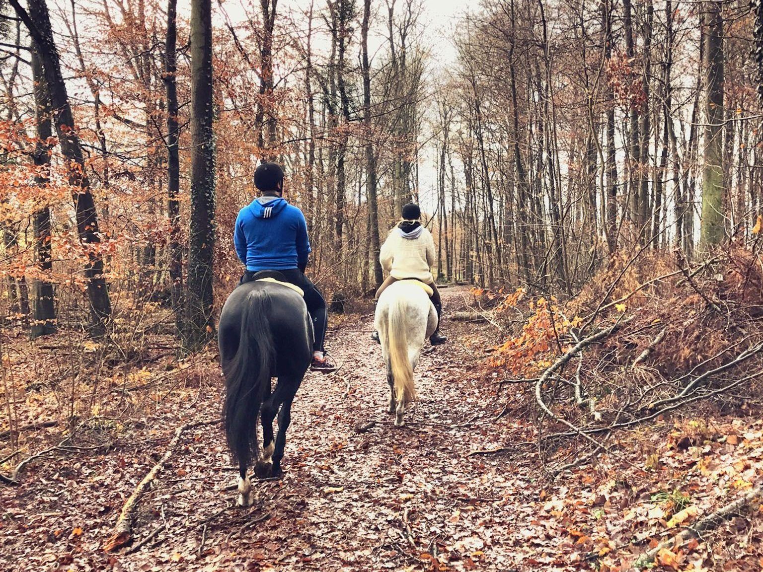 Trübt nicht den Spaß beim Reiten: Die Apple Watch 2 zeichnet die Aktivitätsdaten auf und macht sich sonst kaum bemerkbar – so soll es sein! Foto: Luisa Praetorius
