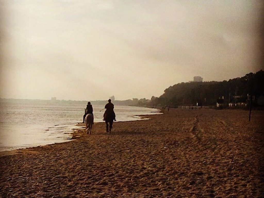 Reiten am Strand in Scharbeutz: Regeln, Anreise und sichere Planung 5 Zwei Reiter am Ufer des Ostseestrands bei Scharbeutz im Abendlicht