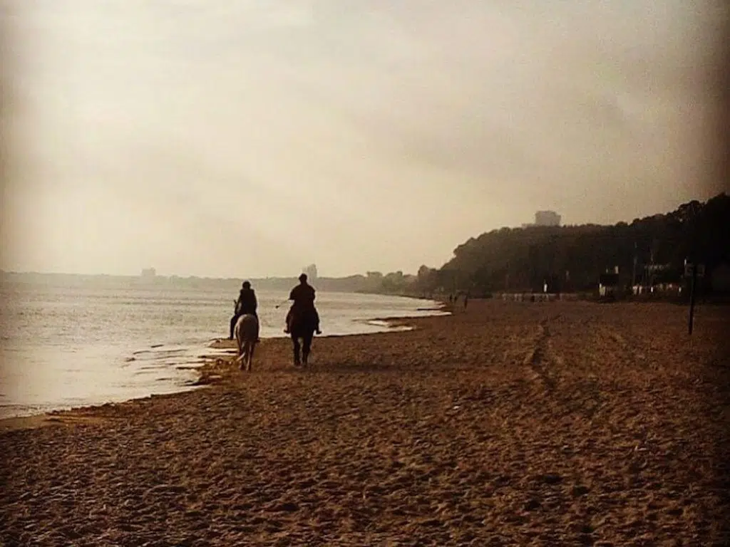 Reiten am Strand in Scharbeutz: Regeln, Anreise und sichere Planung 7 Zwei Reiter am Ufer des Ostseestrands bei Scharbeutz im Abendlicht