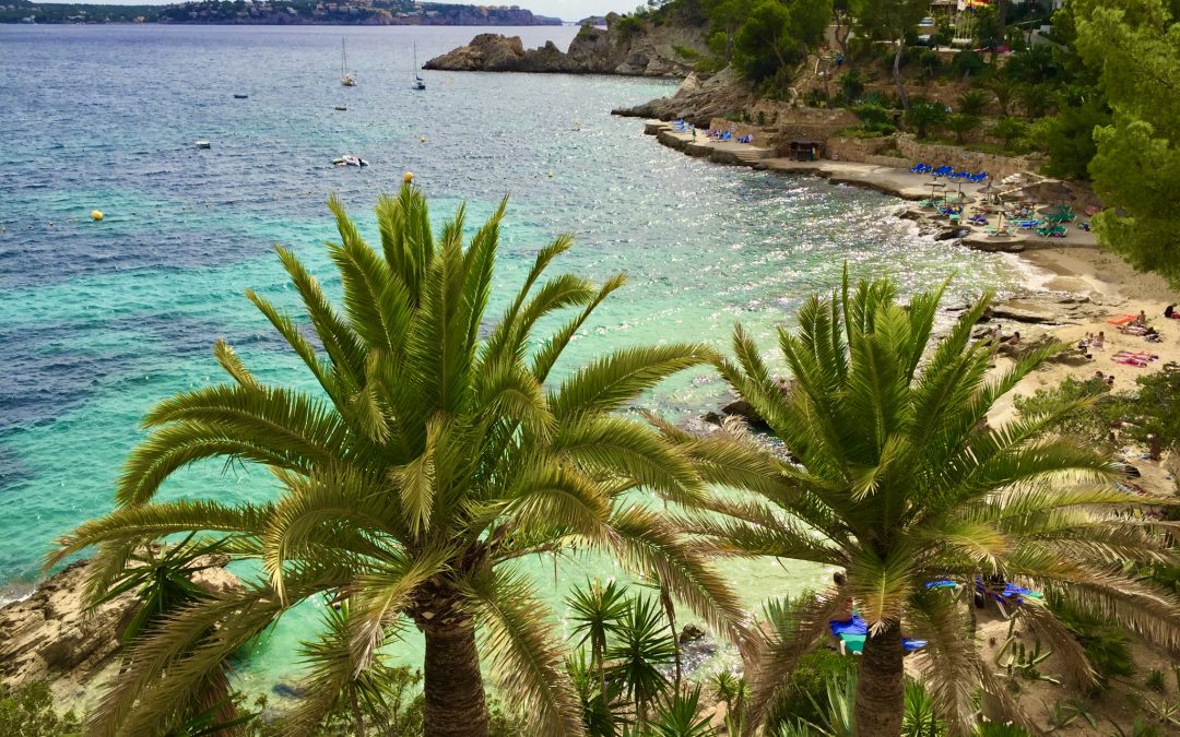 Reisebericht Mallorca – Tipps & Erfahrungen einer Insel voller Freude