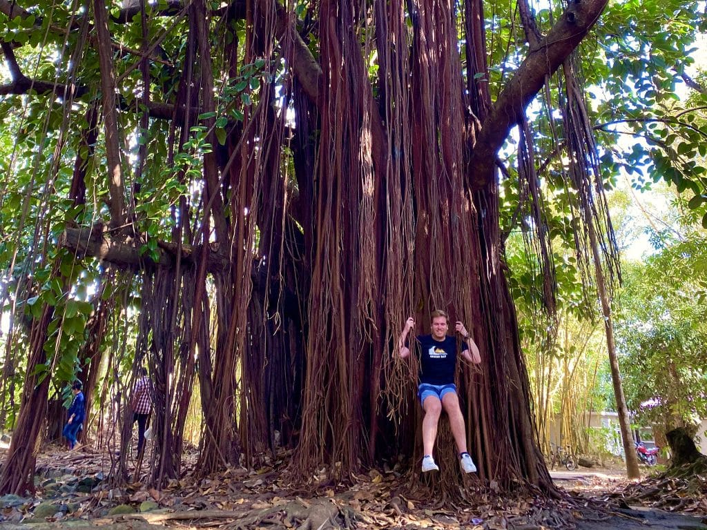 Der Sir Seewoosagur Ramgoolam Botanical Garden (Pamplemousses Botanical Garden) ist ein Naturpark, der 37 Hektar umfasst und sich etwas nördlich von Port Louis befindet. 