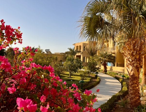 In meinem Reisebericht Marsa Alam mit Tipps und Urlaubstipps gebe ich dir viele wertvolle Inspirationen für deine Reise in den tiefen Süden von Ägypten. Foto: Sascha Tegtmeyer Reisebericht Marsa Alam Tipps Erfahrungen Aktivitaeten