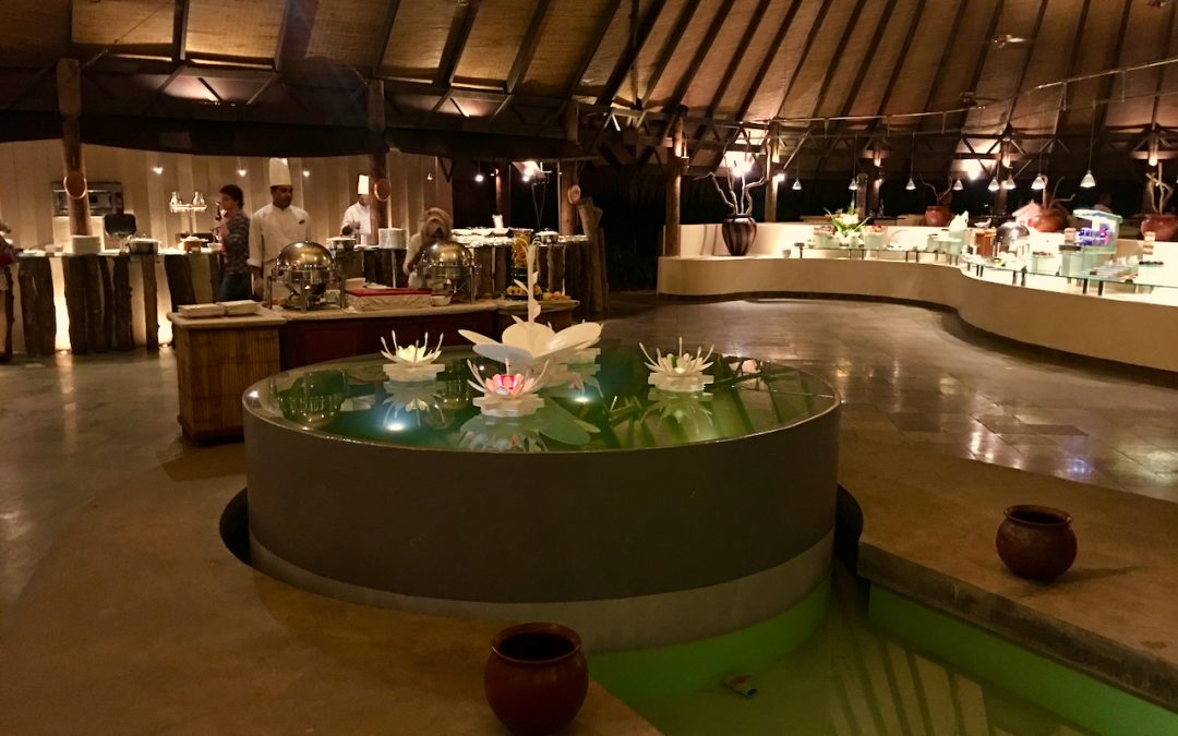 Coco Palm Dhuni Kolhu Resort Malediven – Erfahrungen & Bewertungen