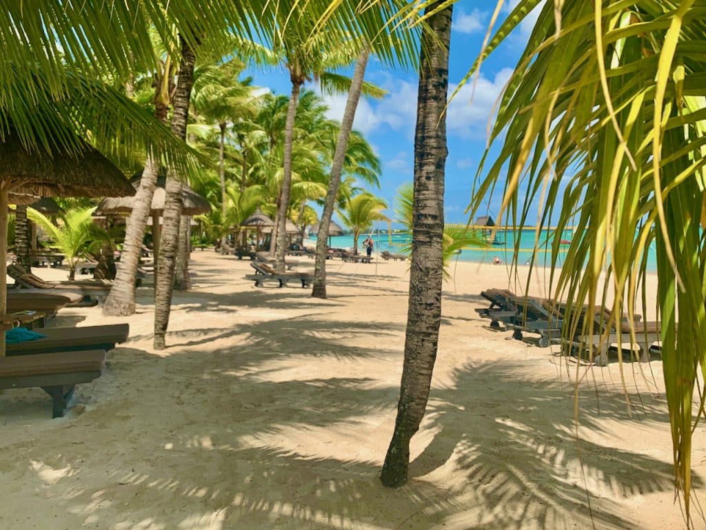 Besondere Reiseziele für verschiedene Zeiten des Jahres: Tropische Reiseziele sind ideal für den Winter. Es gibt viele Möglichkeiten, das Reiseziel zu verschiedenen Jahreszeiten zu wählen. Im Winter ist es zum Beispiel schön, dem kalten und grauen Wetter zu entfliehen und an einen Ort mit warmen Temperaturen zu reisen. Hawaii ist ein perfektes Winterreiseziel, wo man sich an malerischen Stränden entspannen und das tropische Klima genießen kann. Auch Cancun in Mexiko oder Costa Rica sind gute Reiseziele für die Wintermonate.