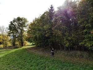 Trail Running Tipps Erfahrungen