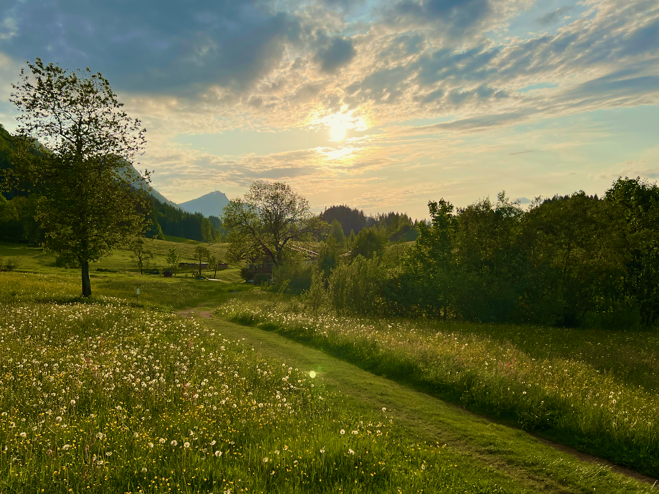 Laufenrunden könnten kaum schöner sein – in Fieberbrunn und dem gesamten PillerseeTal finden Läufer, Jogger, Nordic Walker und Trailrunner ideale Bedingungen für ihre Workouts. Ganz gleich, ob du gerne am Fluss – der Fieberbrunner Ache – entlangläufst oder dich an den Berghängen mit Trails und Panoramablick versuchst. Was kann man beim Laufen in Fieberbrunn erleben? Lohnt es sich? Und welche Laufstrecken gibt es? In meinem Erfahrungsbericht habe ich für dich die wichtigsten Informationen zusammengestellt.