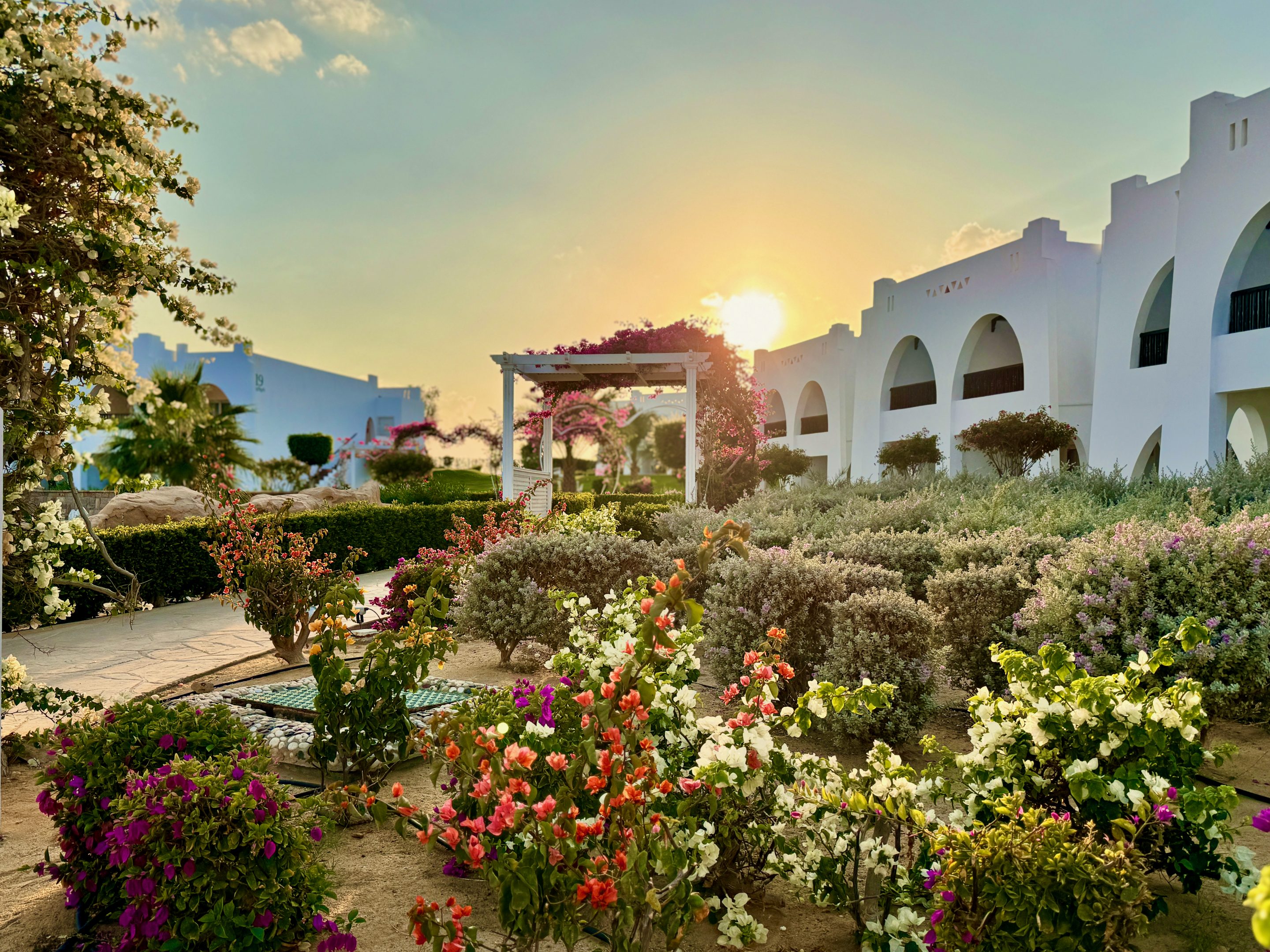 Abu Dabbab Reisebericht Erfahrungen Tipps