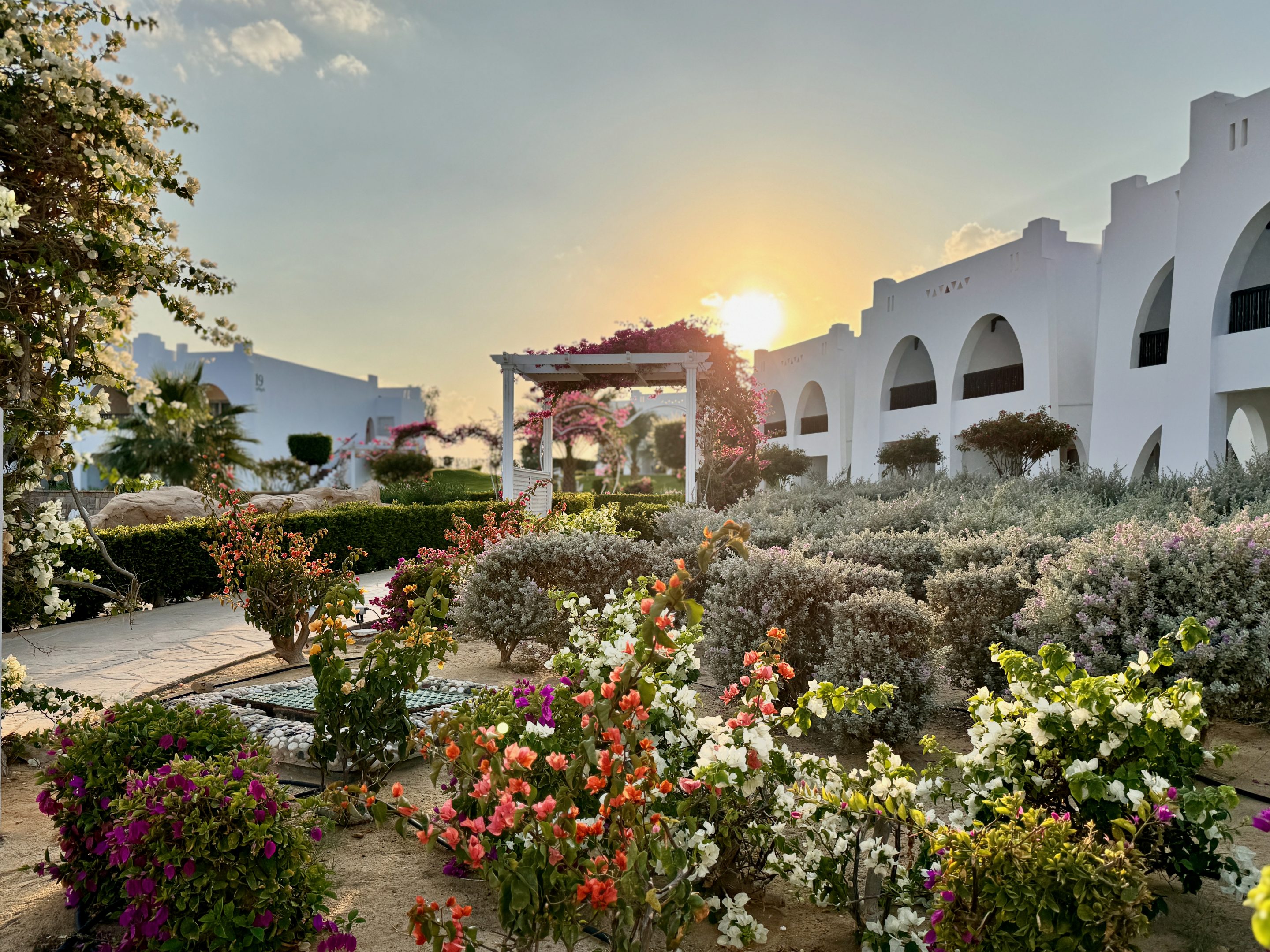 Und auch für unser Hotel haben wir vor dem Urlaub fleißig recherchiert. Das Resort liegt am nördlichen Rand der Bucht von Abu Dabbab und bietet eine atemberaubende Umgebung mit unberührter Wüstenlandschaft und intakten Riffen. Foto: Sascha Tegtmeyer
