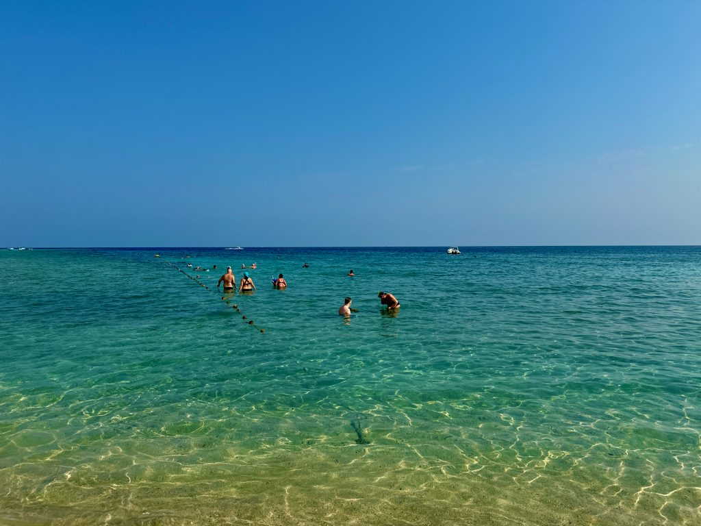 Als Schwimmer und Schnorchler befindet man sich an der Oberfläche und sieht nicht, was unter einem ist. Unter Wasser, in zehn oder zwanzig Metern Tiefe, sind wir ruhiger, kompakter, „uninteressanter“ für Haie. Wie hier in der berüchtigten Bucht Abu Dabbab. Foto: Sascha Tegtmeyer