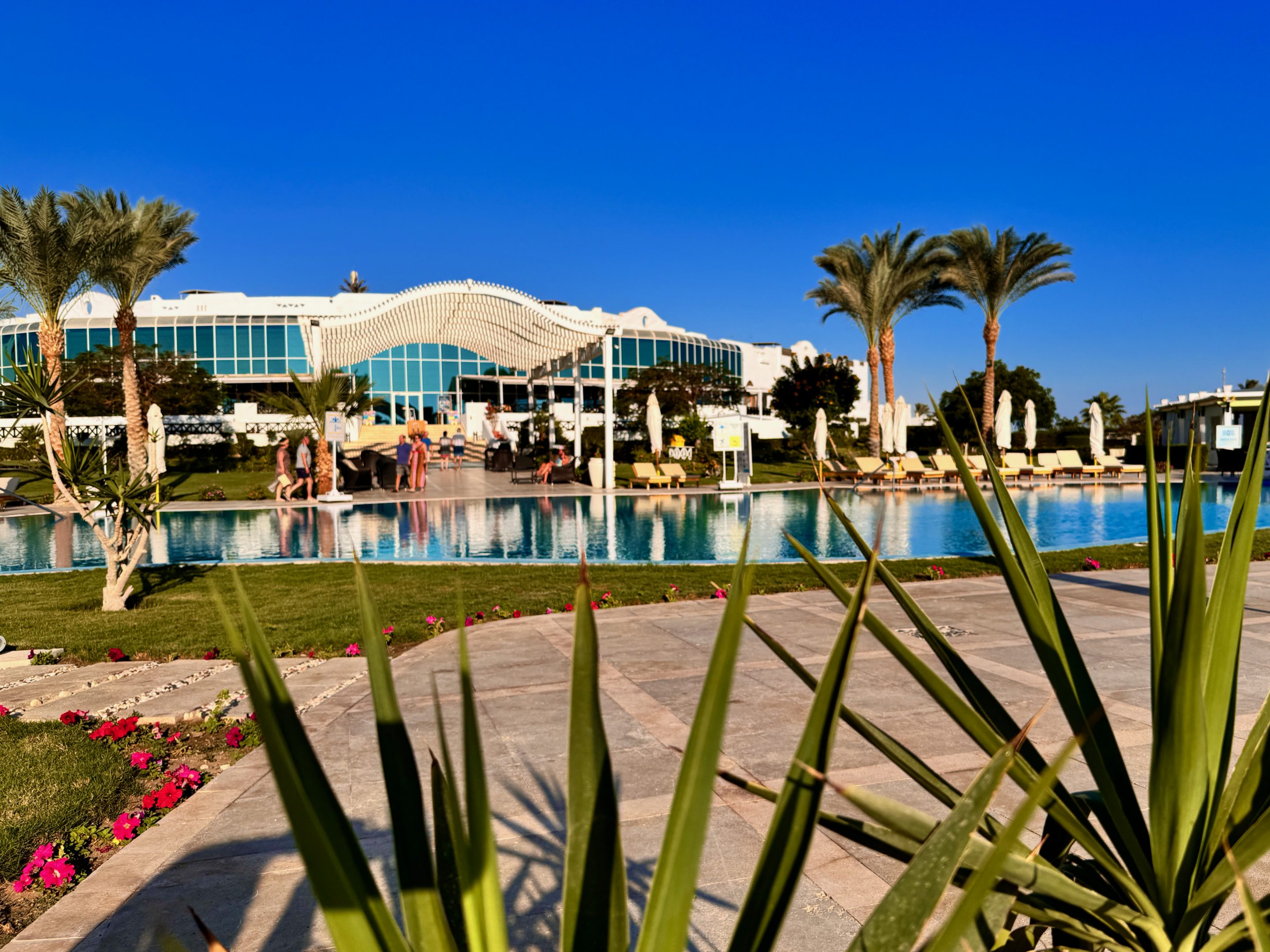 Tauchen Abu Dabbab Blue Ocean Dive Center Erfahrungen