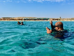 Tauchen Abu Dabbab Blue Ocean Dive Center Erfahrungen