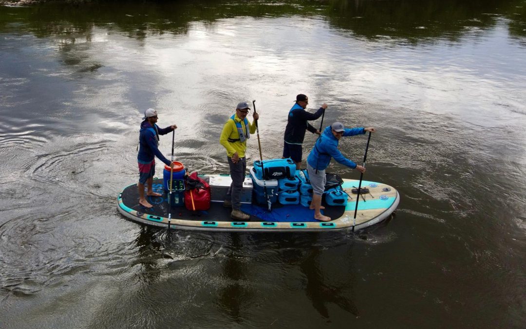 Weser4Lions – 4 Männer, 431 Kilometer, ein Abenteuer!