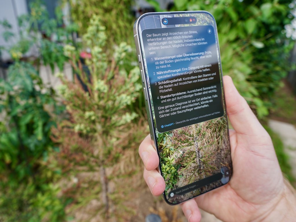 So cool! Ich habe einen etwas kränklichen Mammutbaum adoptiert, um ihn wieder aufzupäppeln – und konnte mit Apple Visual Intelligence und dem integrierten ChatGPT die Diagnose stellen. Foto: Sascha Tegtmeyer