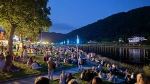 Menschen sitzen auf einer Wiese am Fluss und blicken zur anderen Uferseite. Dabei handelt es sich um das Lichterfest in Bodenwerder, bei dem eine ausgedehnte Multimedia-Show stattgefunden hat. Foto: Sascha Tegtmeyer Lichterfest Bodenwerder – meine Erfahrungen