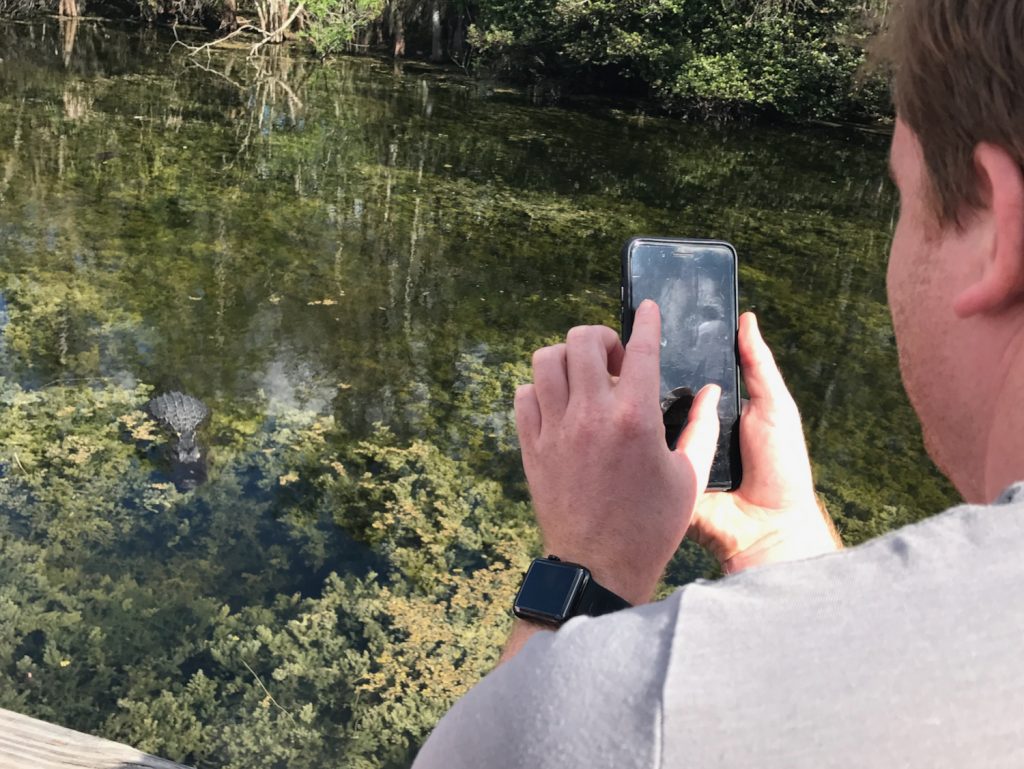 20 Jahre mit Apple-Geräten auf Reisen 18 Bereits mit dem iPhone 6 gab's gestochen scharfe Fotos: Dieser Alligator aus den Everglades in Florida landete anschließend auf Instagram.