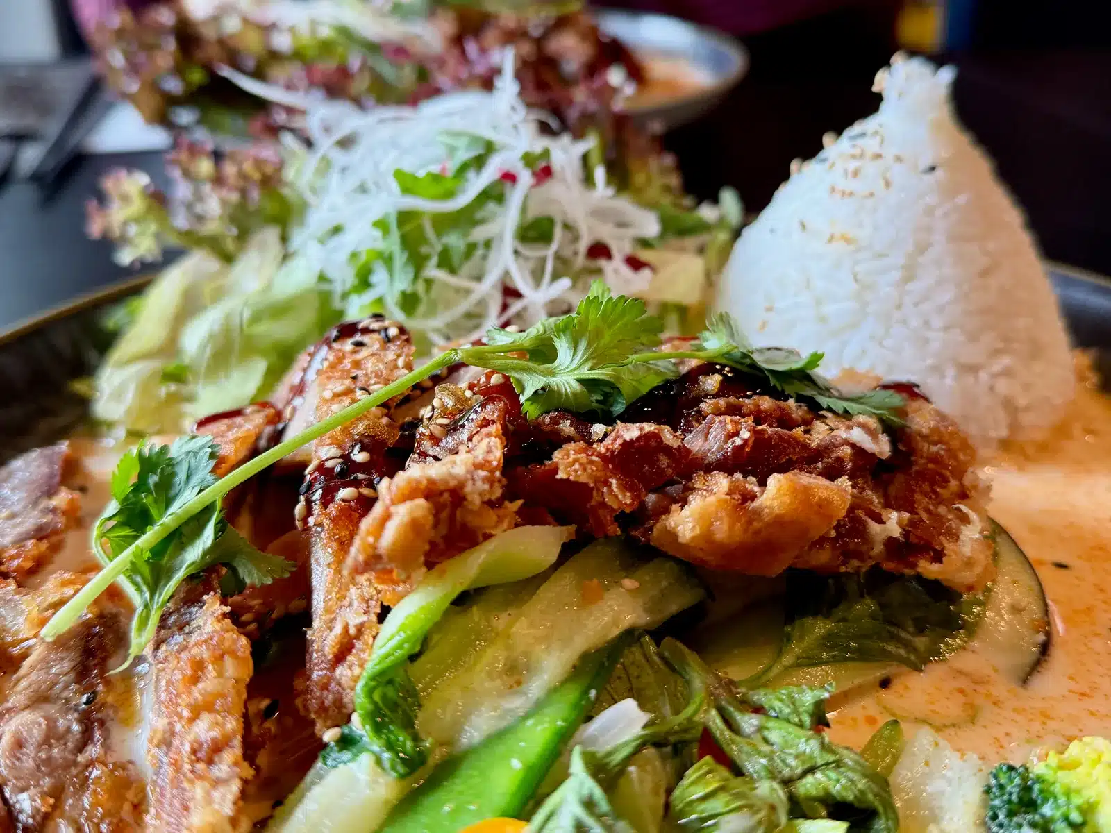Koi Hameln Erfahrungen: mein Lieblingsasiate für Ente, Sushi und Curry 4 Knuspriges Fleisch mit Gemüse, Sauce, Salat und Reis im Koi Hameln