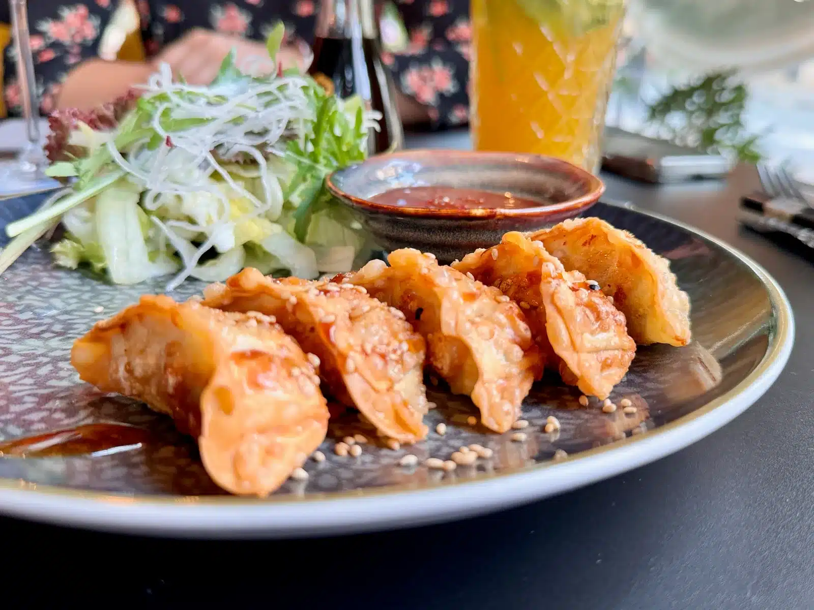 Koi Hameln Erfahrungen: mein Lieblingsasiate für Ente, Sushi und Curry 6 Gebratene Teigtaschen mit Salat und Dip im Koi Hameln
