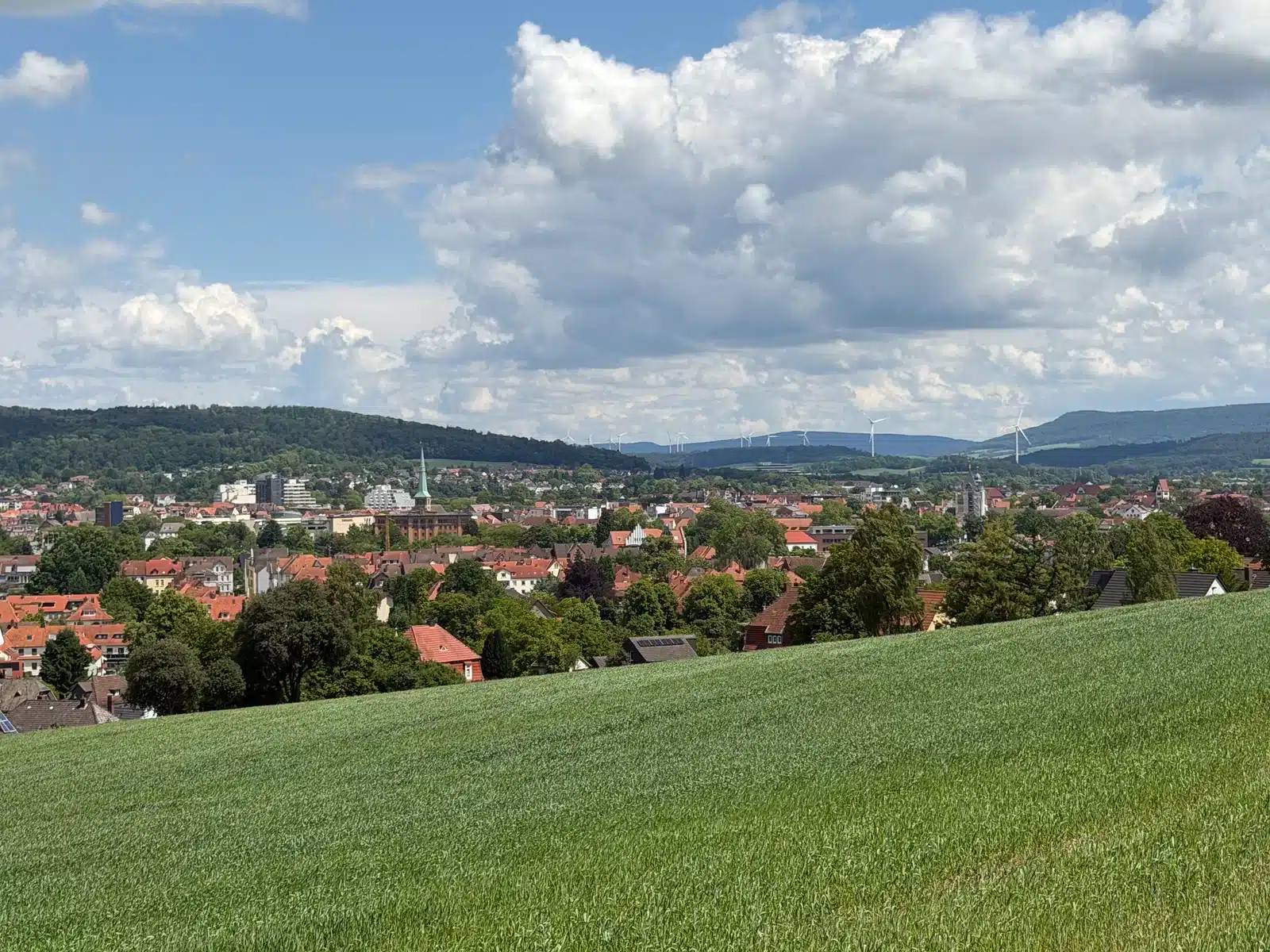 Hameln an einem Tag: mein realistischer Tagesplan für Altstadt, Weser und Klüt 5 Panoramablick über Hameln mit dem Stadtgebiet und bewaldeten Höhen am Horizont