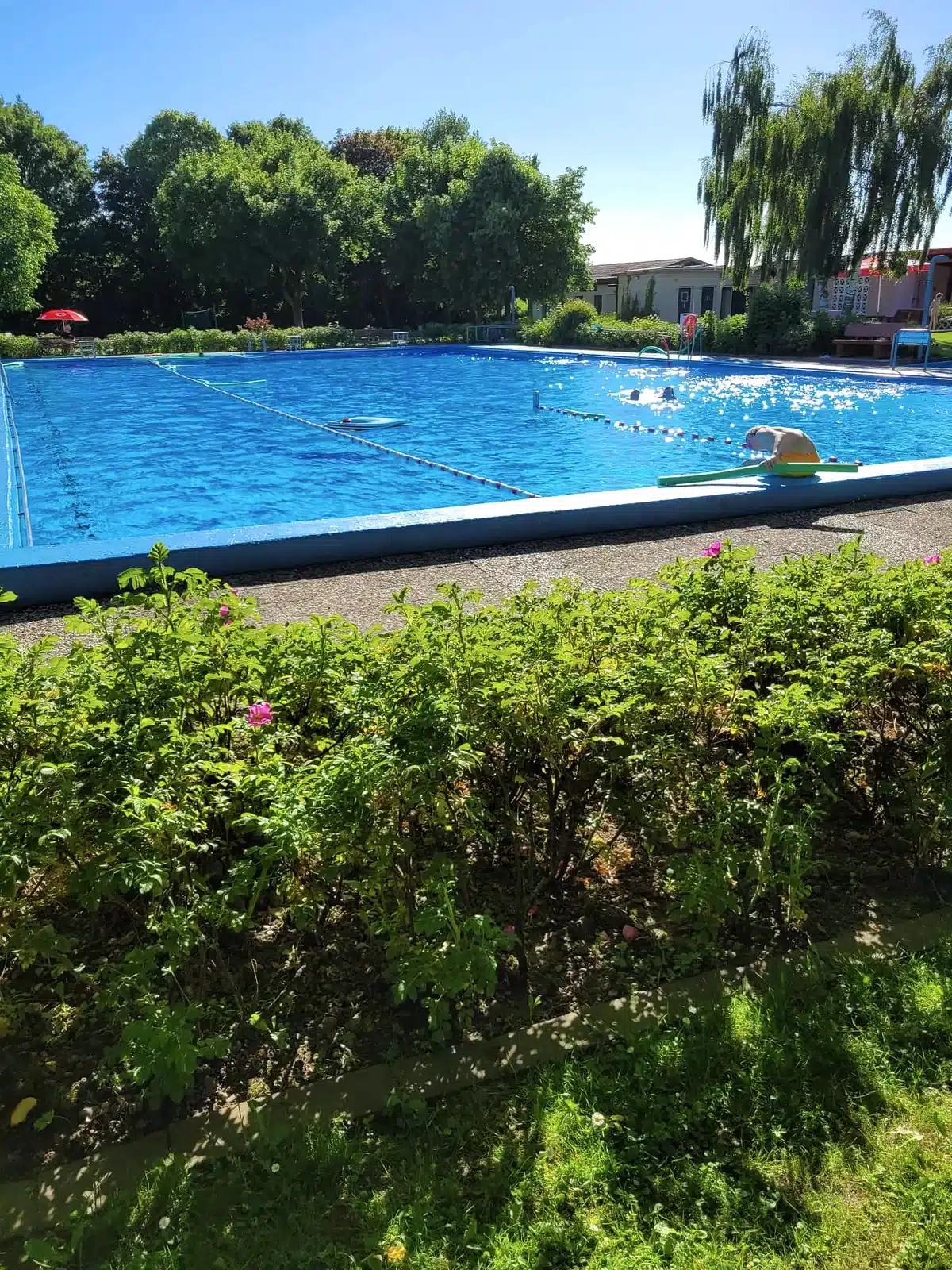 Schwimmen im Weserbergland: meine Erfahrungen mit Haddessen, Unsen und zwei Thermen 1 Blaues Schwimmbecken eines von Bäumen umgebenen Waldbads im Weserbergland