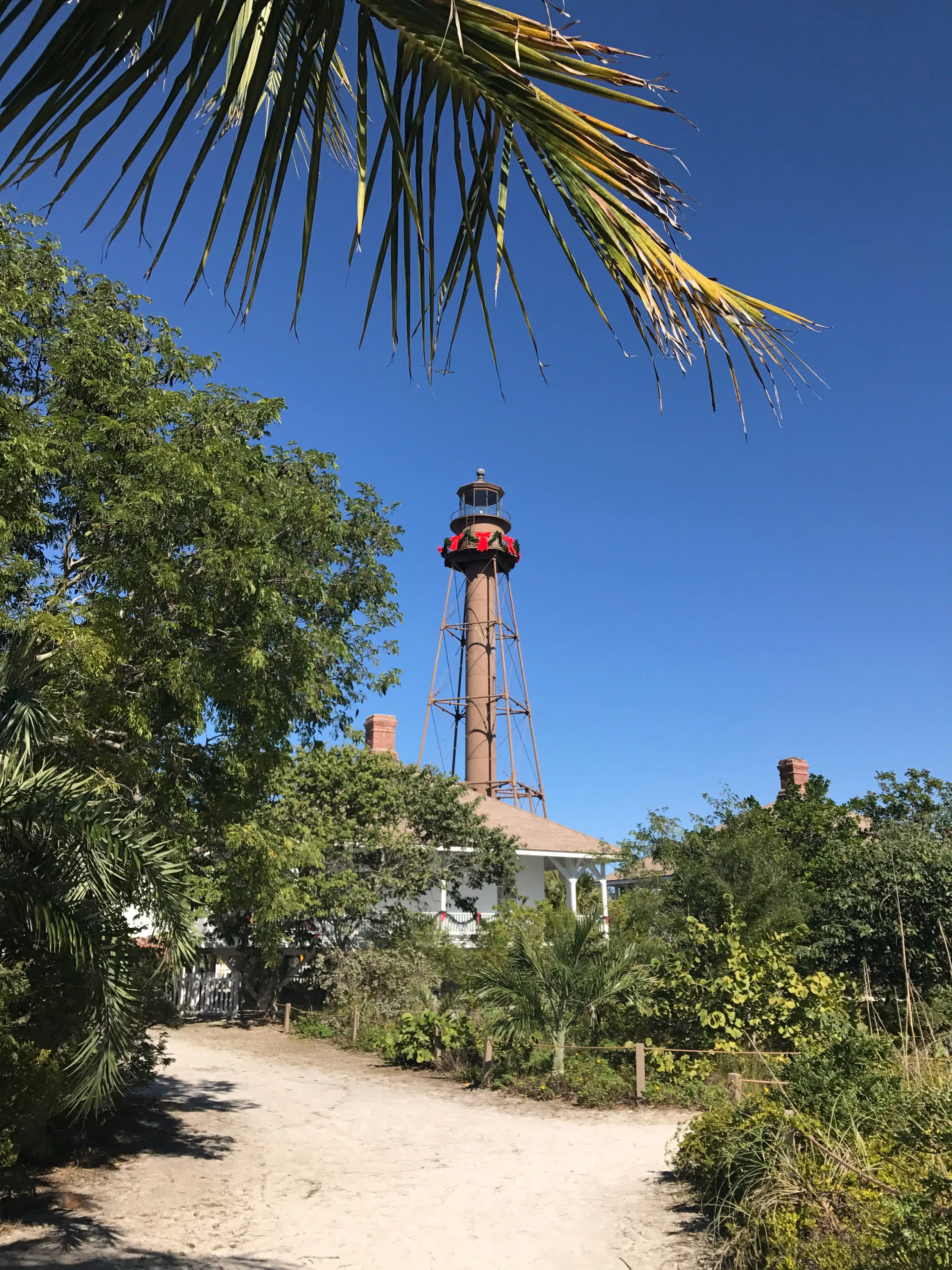 Sanibel Island: Muschelstrand, Leuchtturm und Küstennatur 7 Leuchtturm zwischen Küstenvegetation und Palmen