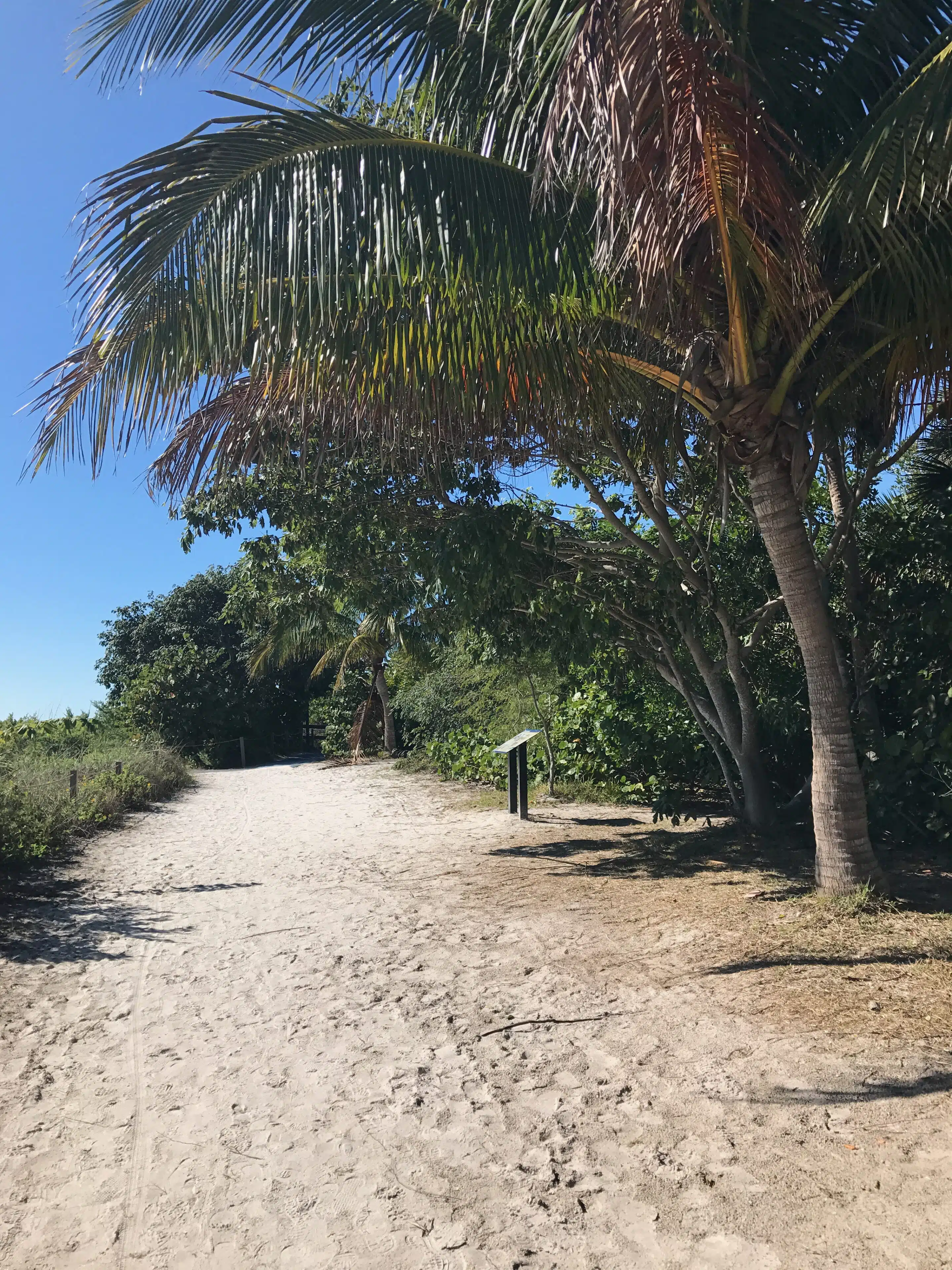 Sanibel Island: Muschelstrand, Leuchtturm und Küstennatur 1 Strandzugang auf Sanibel Island