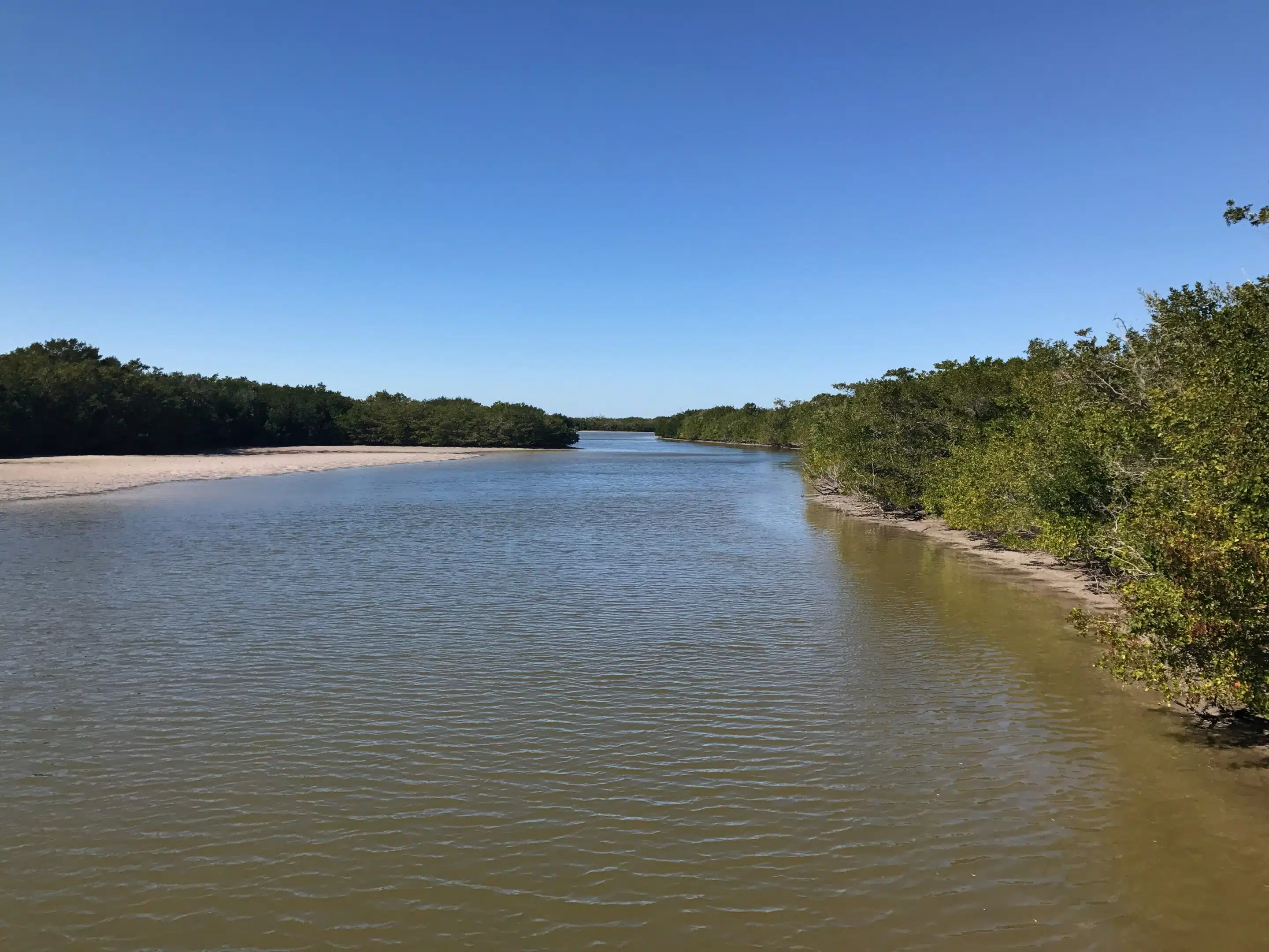 Sanibel Island: Muschelstrand, Leuchtturm und Küstennatur 9 Küstenvegetation und Wasserlauf auf Sanibel Island