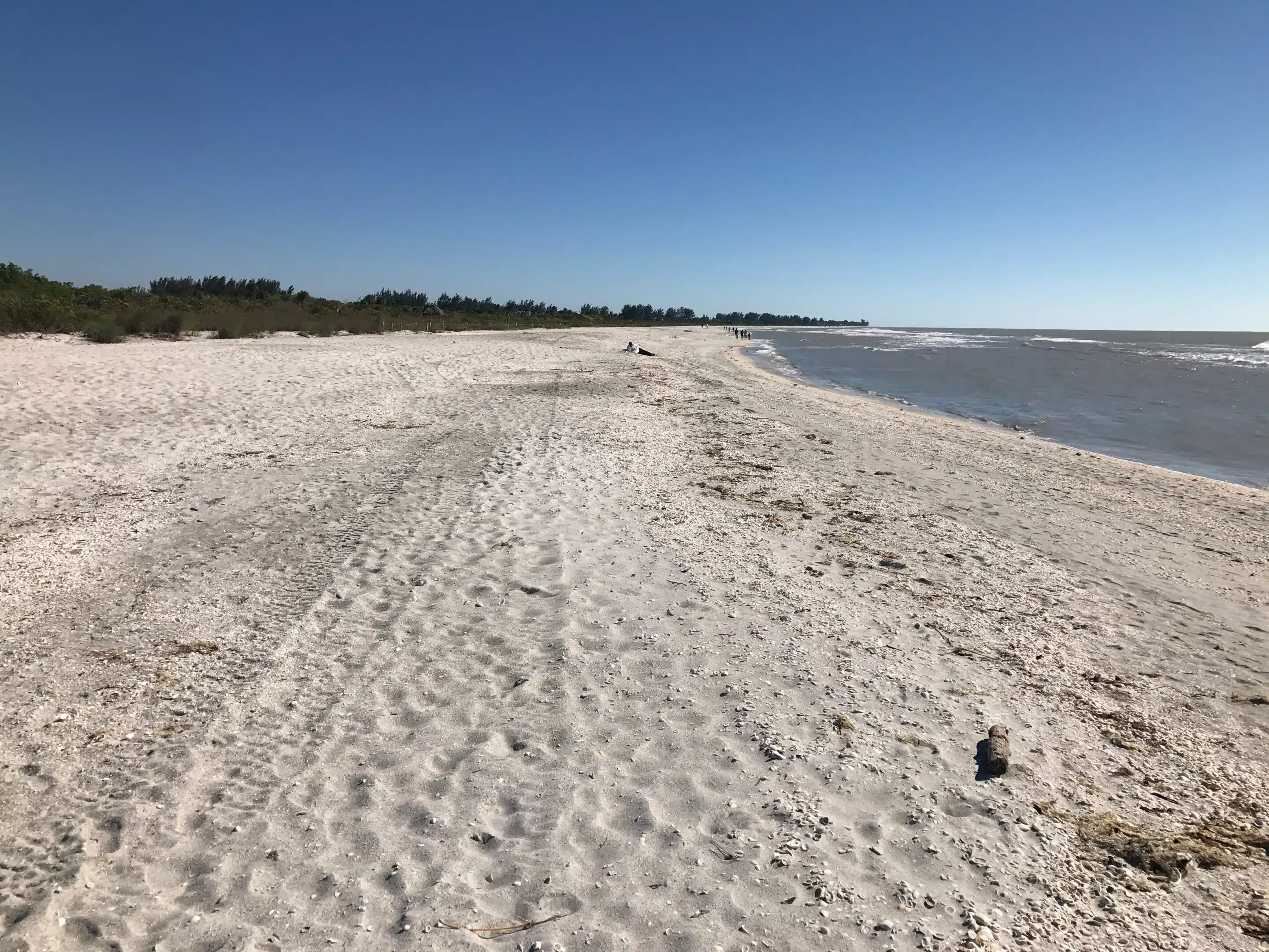 Florida-Rundreise: Zwischen Atlantik, Everglades und Golfküste 14 Muschelstrand auf Sanibel Island