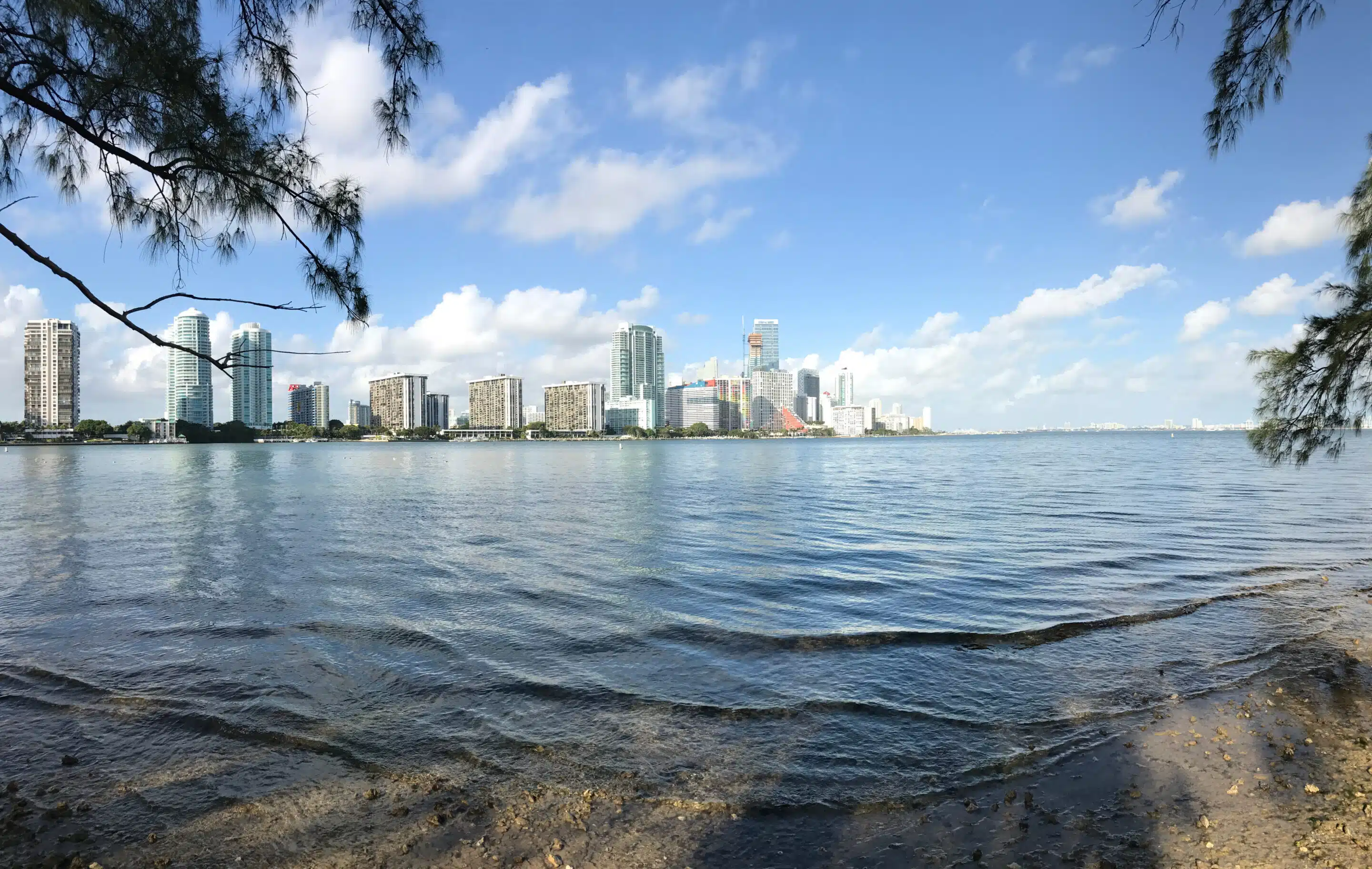 Reiseziele & Urlaubsziele 94 Florida-Rundreise: Zwischen Atlantik, Everglades und Golfküste